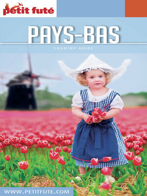 cover image of PAYS BAS 2017/2018 Petit Futé